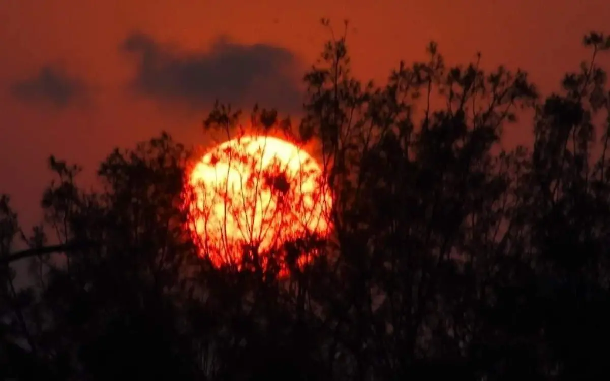 Polvo del Sahara en Tamaulipas 